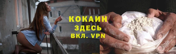сатива Михайловск