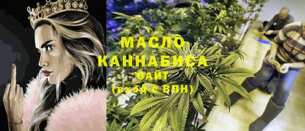 дмт Надым