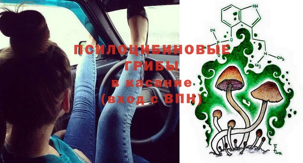 сатива Мегион