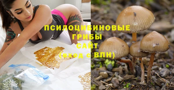 трава Михайловка